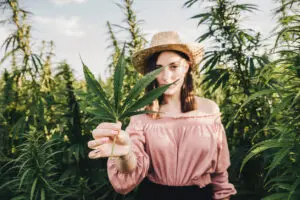 a woman holding up a cannabis leaf in a field of cannabis plants