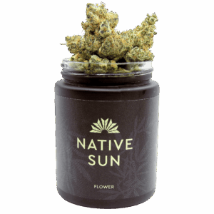 hollywood hairband 3.5g flower