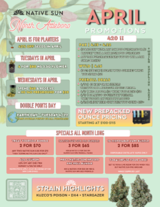Native Sun North Attleboro April Promotions flyer