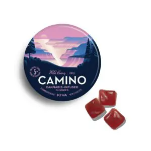 Camino Wild Berry Chill Edible Gummies