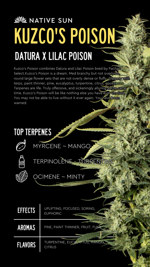 Kuzco's Poison info sheet
