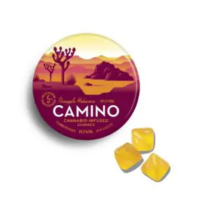 Camino Pineapple Haberno weed gummies