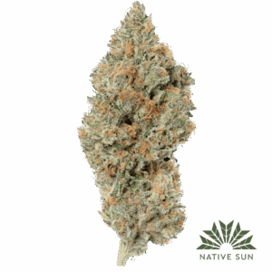 Native Sun Don Lemon cannabis flower