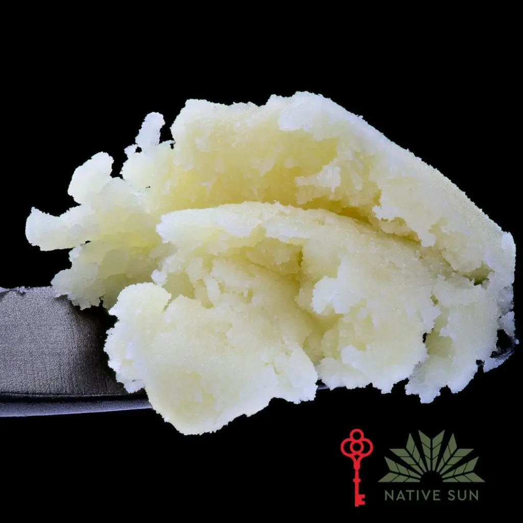 Native Sun Musk #1 Live Hash Rosin