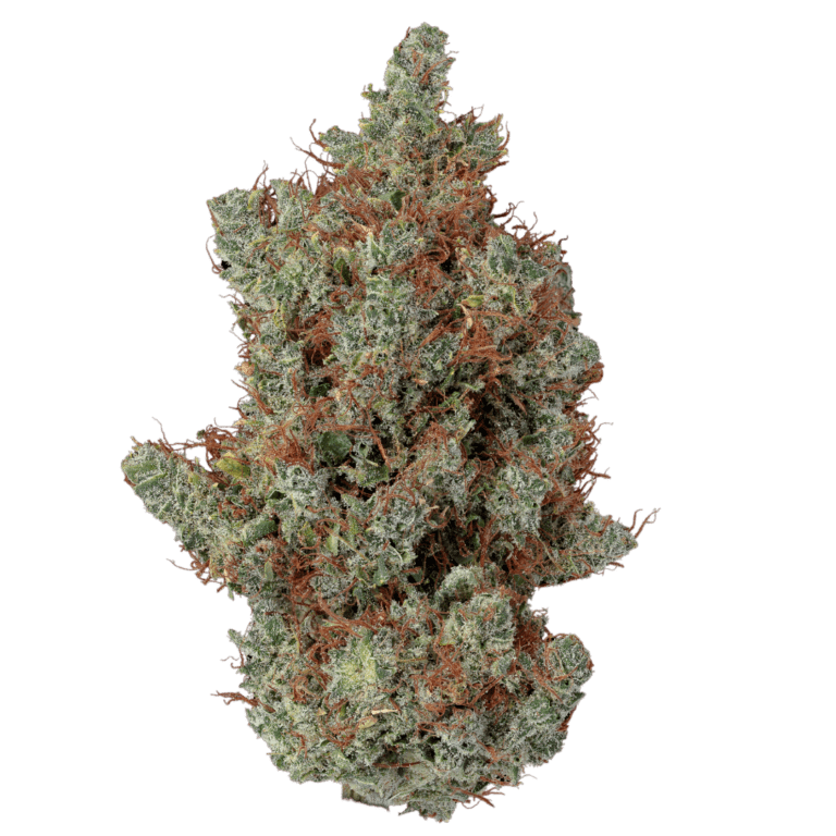 Black Haze BX