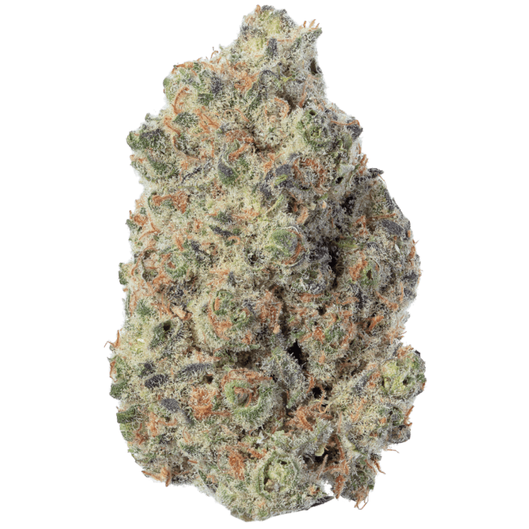 Blue Lilac