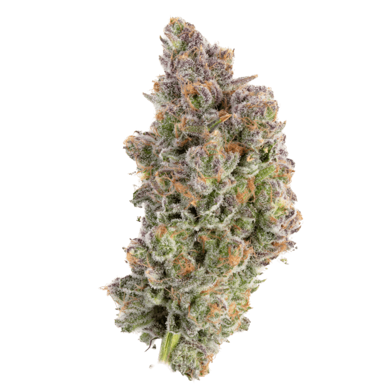 Blueberry Muffin nugg 2