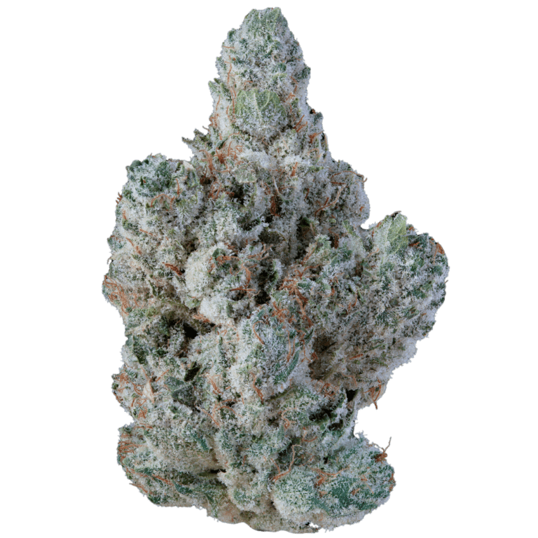 Cherry Diesel