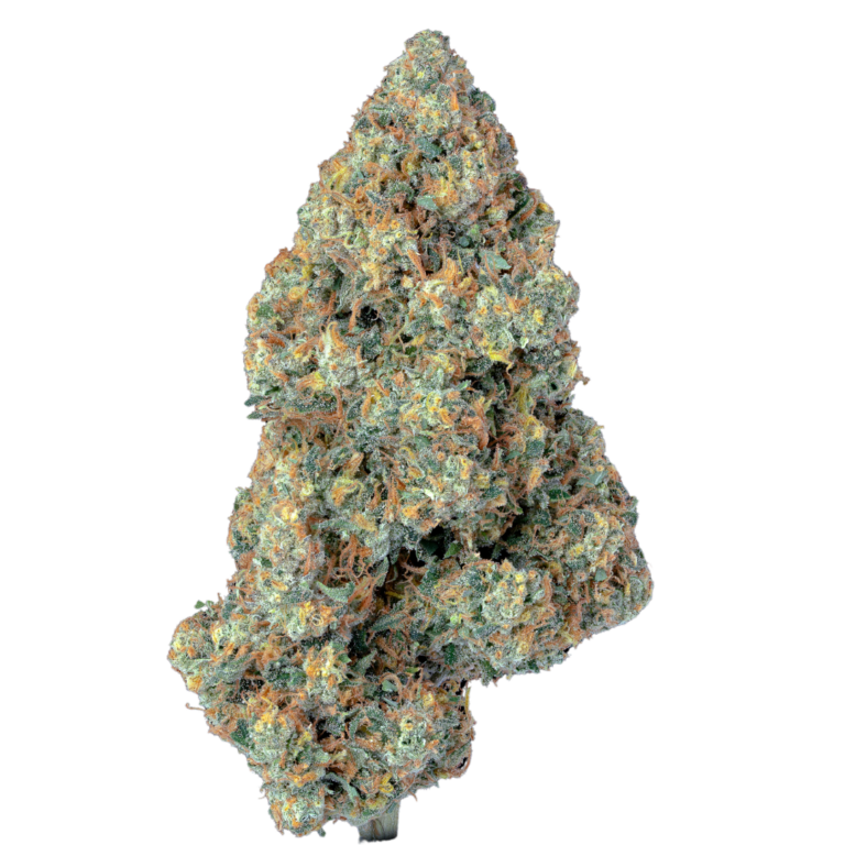 Cough Bx1