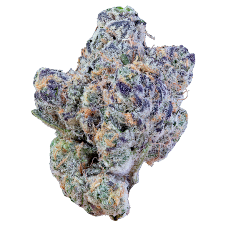 Dosidos nugg 2
