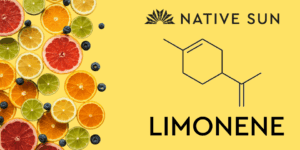 limonene-native-sun-strains