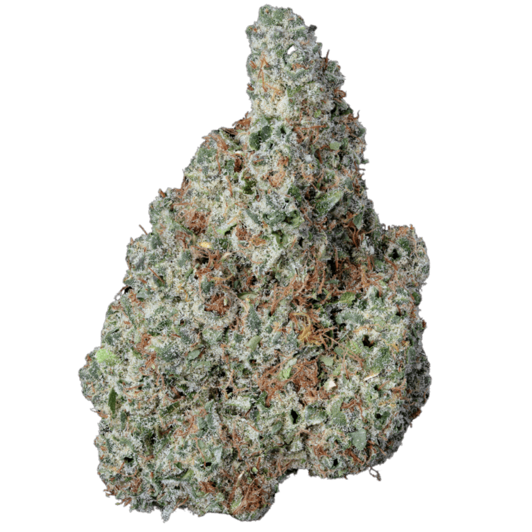 Malibu Marsha (1)