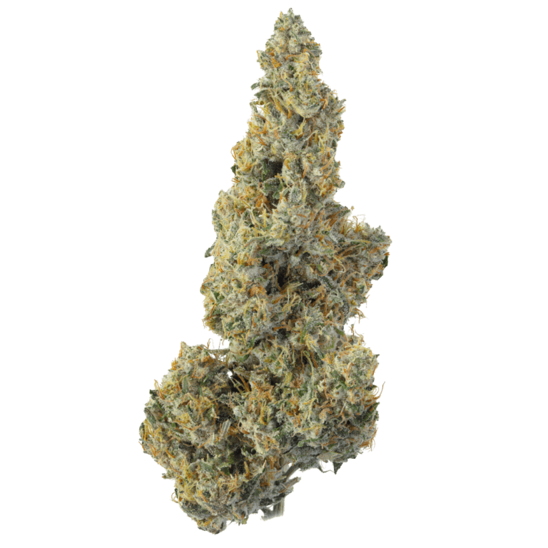 SOUR TK