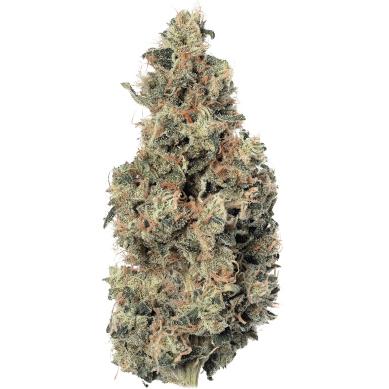 Tahoe OG (5)