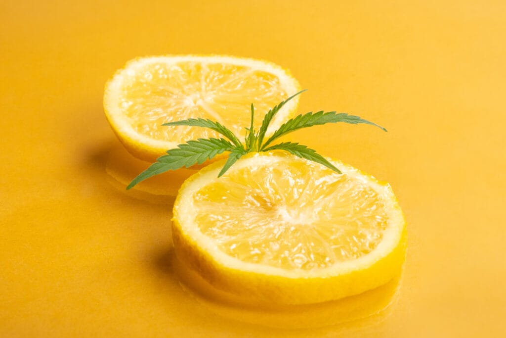 lemons and cannabis leaf to represent limonene terpene