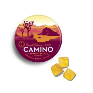 Camino Pineapple Haberno weed gummies