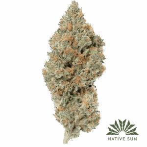 Native Sun Don Lemon cannabis flower
