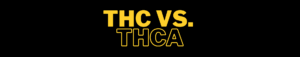 THC vs THCA