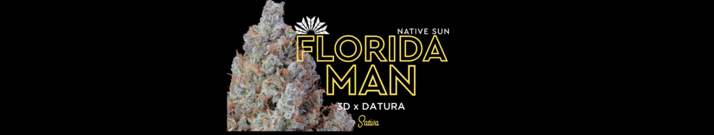 Native Sun's Florida Man Strain