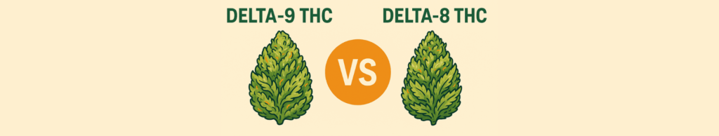 Delta-9 THC vs Delta-8 THC with illustrated nugs