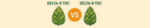 Delta-9 THC vs Delta-8 THC with illustrated nugs