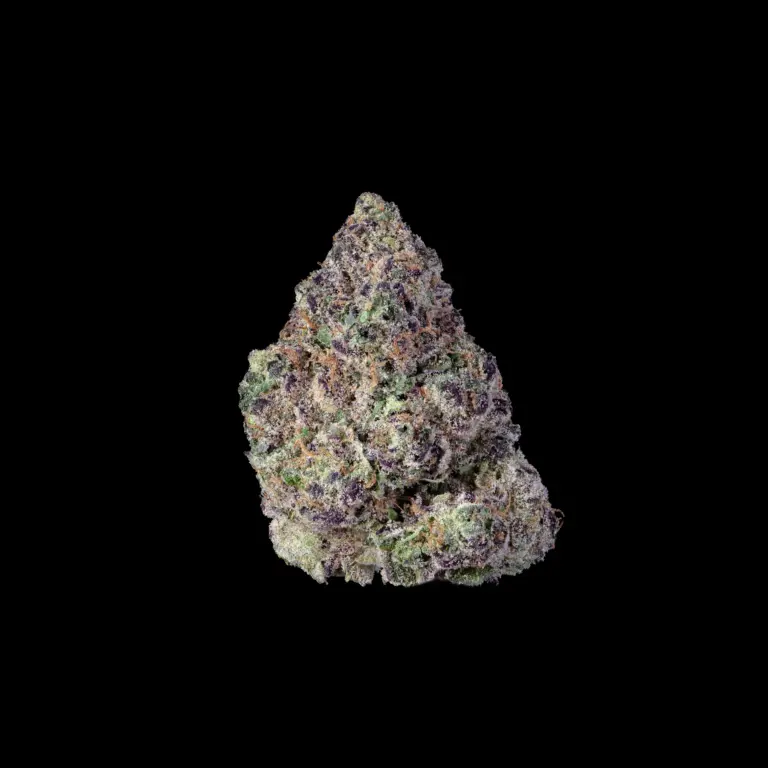 Budshot_Blueberry Muffin_black-1-Edit