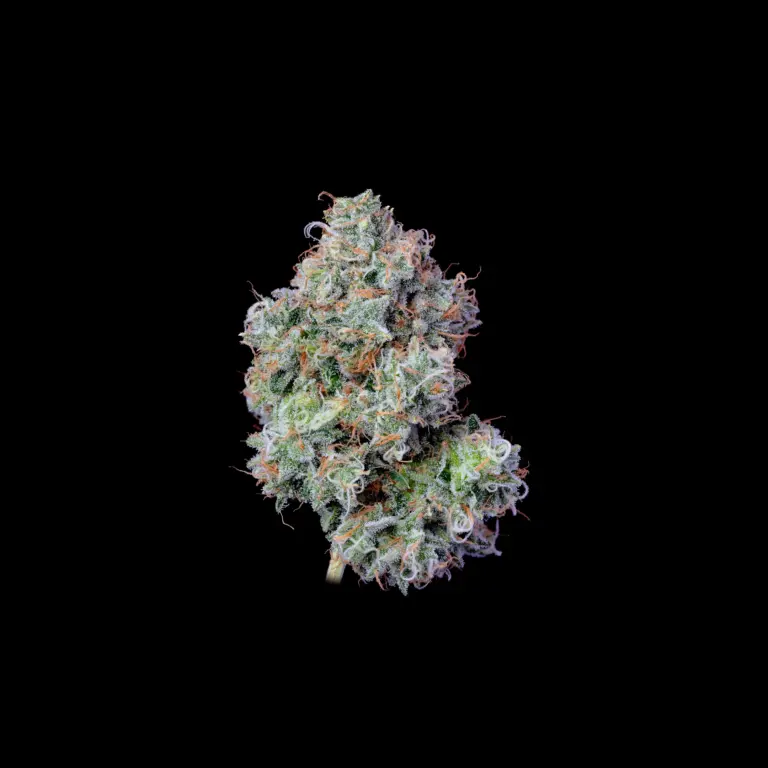 Budshot_Grinch_black-1-Edit