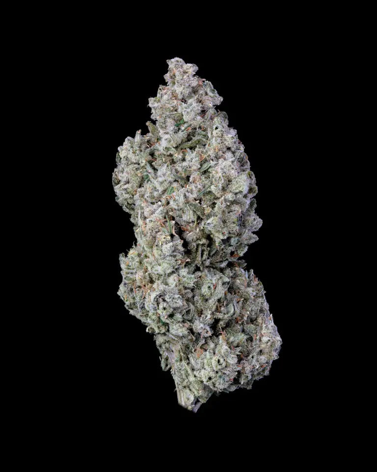 Kuzco_s Poison Black