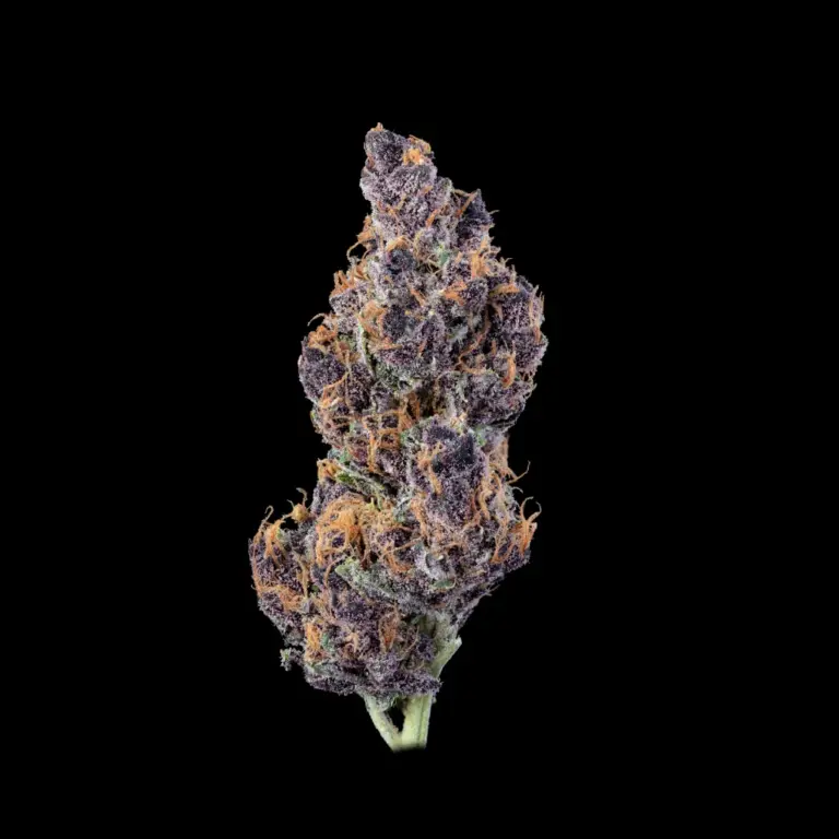 Menemsha Sunset Black-Edit