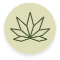 NSUN-Icon-Flower.png